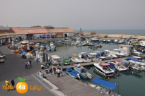 وزارة الزراعة تضيّق على الصيادين في أرزاقهم بدعوى الحفاظ على الثروة السمكية